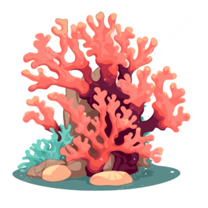 coral-clipart-coral-coral-coral-coral-coral-coral-coral-coral-coral-coral-coral-coral-coral-coral-coral-coral-coral-coral-coral-coral