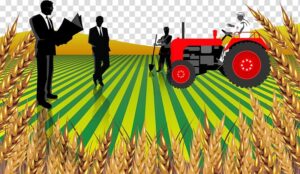 agriculture-clipart-a-farmer-and-his-tractor-in-field-of-wheat-with-man-standing-the-middle
