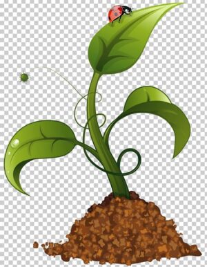 agriculture-clipart-a-plant-with-ladybird-sitting-on-top-of-it