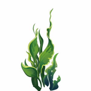 algae-clipart-a-green-plant-with-leaves-on-black-background
