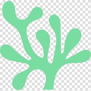 algae-clipart-a-green-plant-with-leaves-on-it-transparent-background