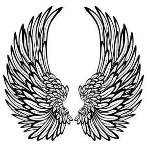 angel-wings-clipart-a-pair-of-wings