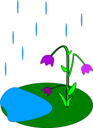 april-showers-clipart-a-small-pond-with-flower-in-it