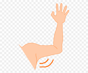 arm-clipart-a-hand-reaching-up-to-the-ground