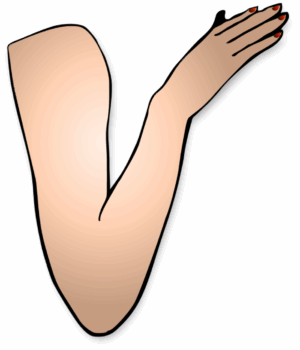 arm-clipart-a-woman-s-hand-with-red-nails