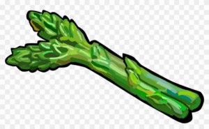 asparagus-clipart-a-green-vegetable-clipart