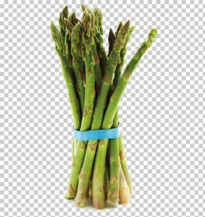 asparagus-clipart-asparage-aspara