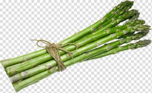 asparagus-clipart-asparage-aspara-three