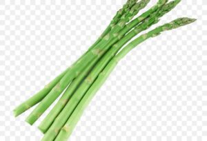 asparagus-clipart-asparage-aspara-two