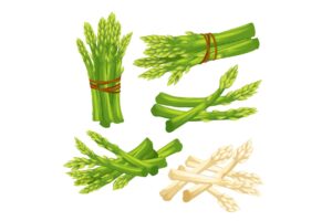 asparagus-clipart-asparage-set-of