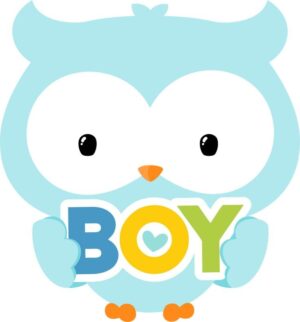 baby-shower-clipart-a-cute-owl-with-the-word-boy-on-it-s-chest