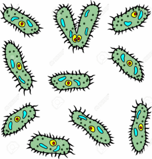 bacteria-clipart-cartoon-bacterias-on-white-background-stock-vector