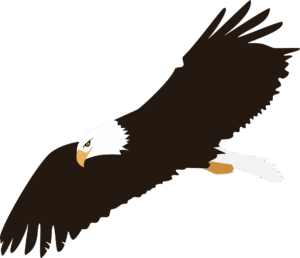 bald-eagle-clipart-an-eagle-flying-in-the-air