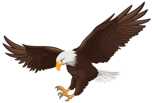 bald-eagle-clipart-an-eagle-flying-with-its-wings-spread