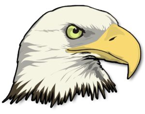 bald-eagle-clipart-an-eagle-head-with-green-eyes
