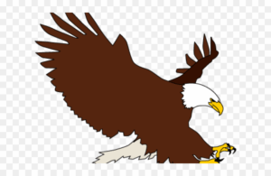 bald-eagle-clipart-eagle-clipart
