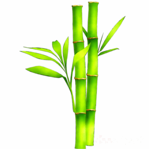 bamboo-clipart-a-bamboo-plant-with-green-leaves-on-it