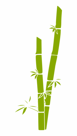 bamboo-clipart-a-bamboo-tree-with-black-background