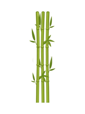 bamboo-clipart-a-bamboo-tree-with-leaves-on-white-background-royalty-illustration