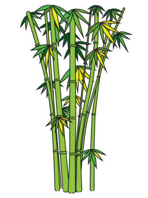 bamboo-clipart-a-bunch-of-bamboo-trees
