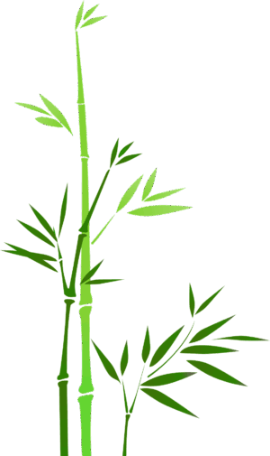 bamboo-clipart-a-green-bamboo-tree-with-leaves