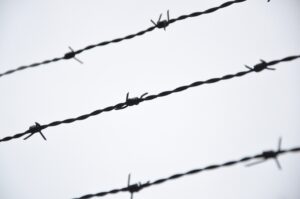 barbed-wire-clipart-a-bird-is-flying-over-barbed-fence