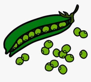 beans-clipart-a-green-peale-with-peas-on-it