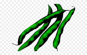 beans-clipart-green-beans-clipart