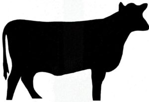beef-clipart-a-black-cow-silhouetted-against-white-background