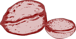 beef-clipart-a-piece-of-meat-with-cut-in-half