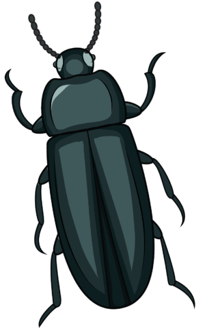 beetle-clipart-a-black-beetle-with-long-antennae