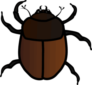 beetle-clipart-a-brown-beetle-with-black-background