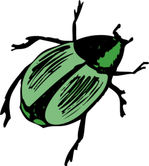 beetle-clipart-a-green-and-black-logo-with-background