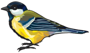 birds-clipart-a-bird-with-black-background