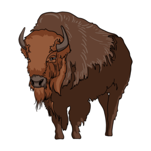 bison-clipart-bison-clipart-clip