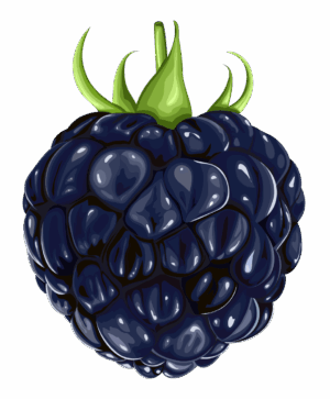 blackberry-clipart-a-bunch-of-blackberries