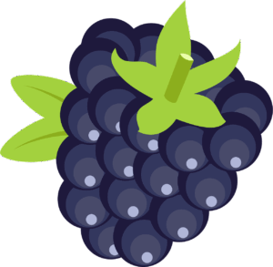 blackberry-clipart-a-bunch-of-grapes-with-leaves