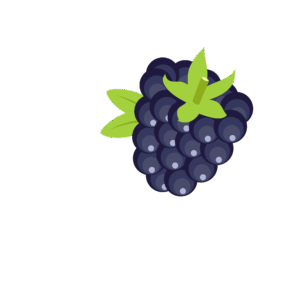 blackberry-clipart-a-bunch-of-grapes-with-leaves-on-top