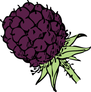 blackberry-clipart-a-purple-flower-with-green-leaves-on-it