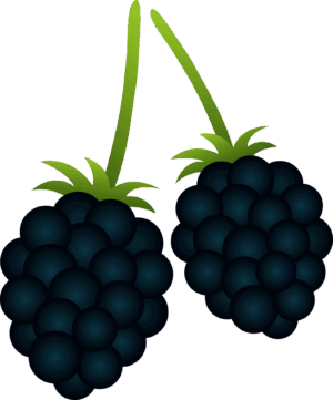 blackberry-clipart-two-blackberries-on-a-black-background