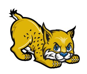 bobcat-clipart-a-cartoon-of-cat-with-blue-eyes