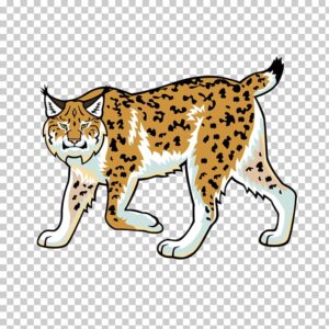 bobcat-clipart-lynx