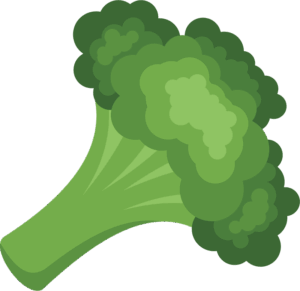broccoli-clipart-a-green-bro