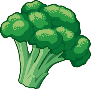 broccoli-clipart-a-green-broccole