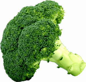 broccoli-clipart-a-piece-of-broccote