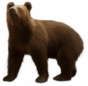 brown-bear-clipart-a-brown-bear-standing-on-black-background