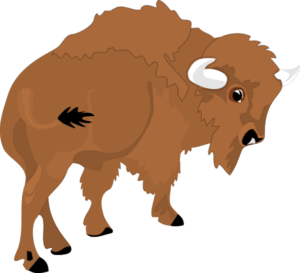 buffalo-clipart