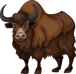 buffalo-clipart-bison-vector-price
