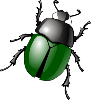 bugs-clipart-a-green-beetle-with-black-background