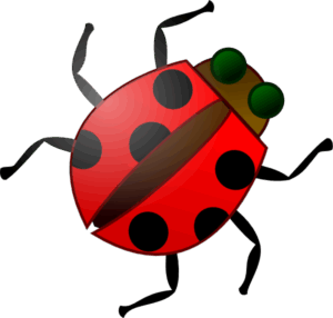 bugs-clipart-a-ladybug-with-green-leaf-on-it